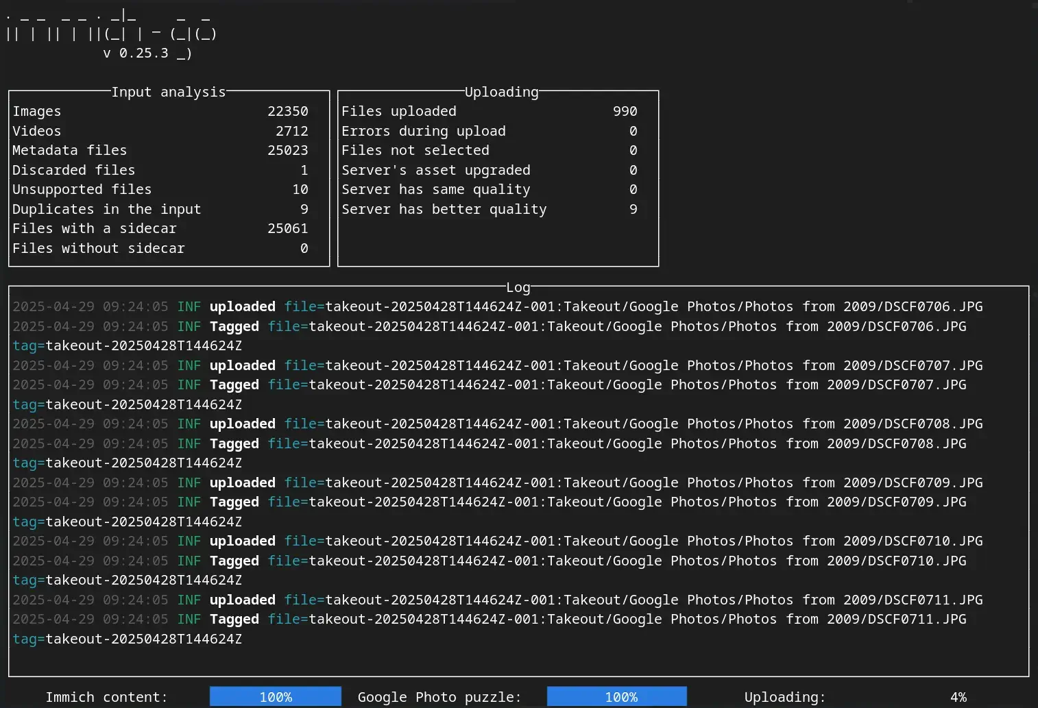 Immich-Go running and handling an import from Google Photos.